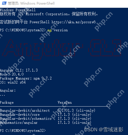 如何在 Windows 上安裝 Angular：Angular CLI、Node.js 和構(gòu)建工具指南