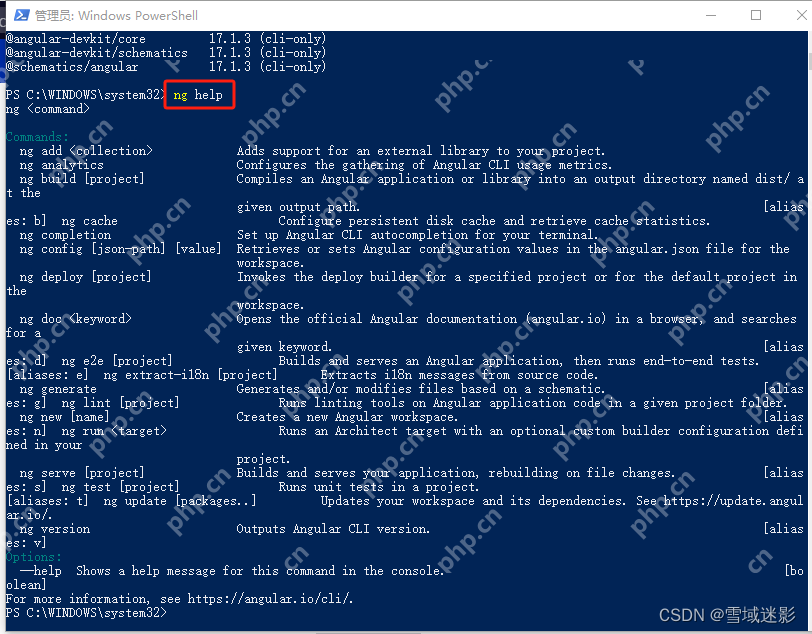 如何在 Windows 上安裝 Angular：Angular CLI、Node.js 和構(gòu)建工具指南