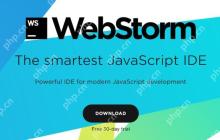 优化WebStorm搜索性能的设置和方法