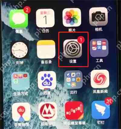 在iphonexr中怎么开启悬浮球功能?开启悬浮球功能的方法说明