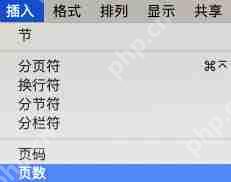 pages怎么查看文件总页数 查看文件总页数操作步骤分享