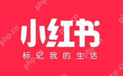 在线登录小红书  _小红书电脑网页版入口