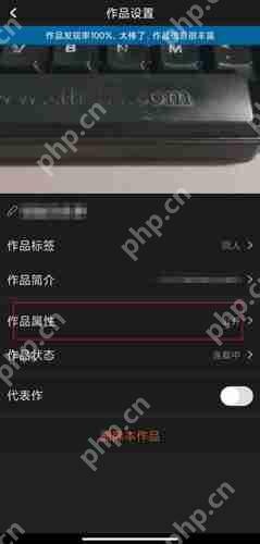 汤圆创作怎么设置仅自己可见 汤圆创作设置作品仅自己可见方法