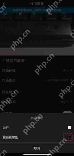 汤圆创作怎么设置仅自己可见 汤圆创作设置作品仅自己可见方法