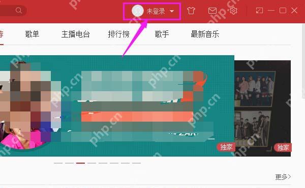 网易云音乐http代理怎么替换为IE代理？替换为IE代详细步骤解析