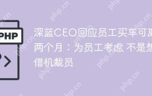 深蓝CEO回应员工买车可离职两个月：为员工考虑 不是想借机裁员