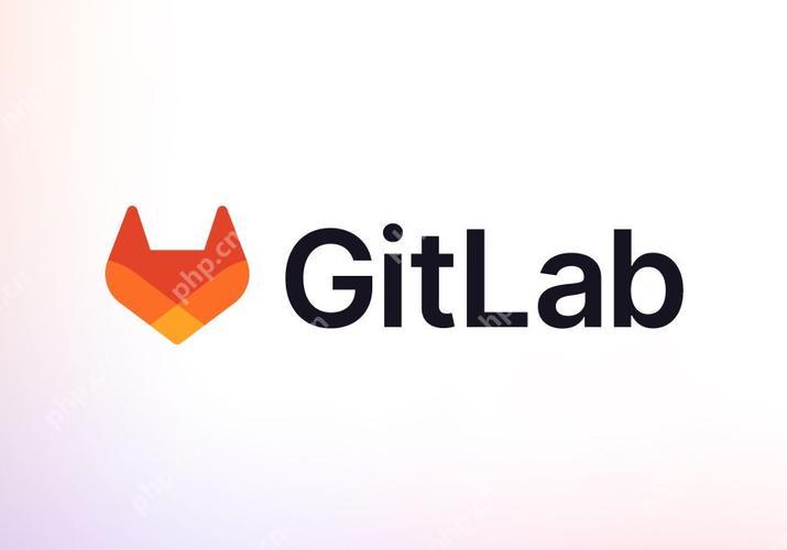 git如何處理遠程倉庫權限不足的問題-小浪學習網(wǎng)