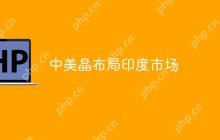 中美晶布局印度市场