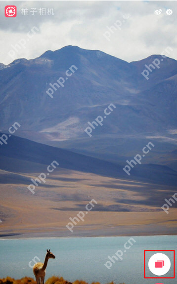 柚子相机APP如何添加特效?添加特效的方法介绍