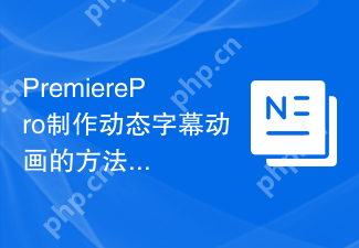 PremierePro制作动态字幕动画的方法和创意应用
