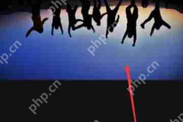 PicArt怎么做出倒影？做出倒影的方法说明