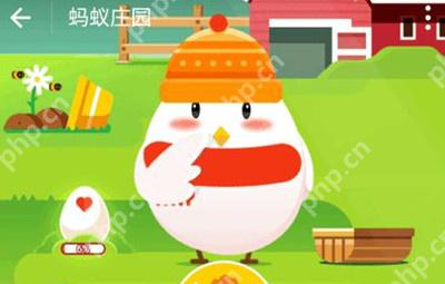 蚂蚁庄园小鸡去哪了