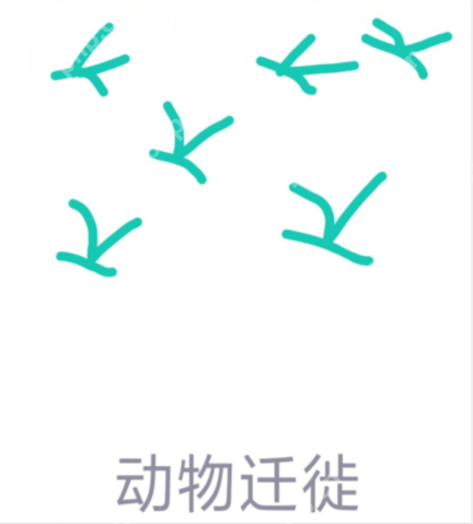 qq画图红包动物迁徙怎么画？QQ画图红包动物迁徙画法分享