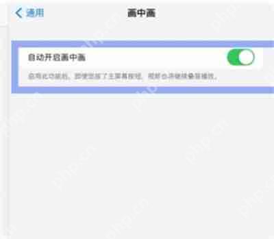 iPad怎么打开画中画