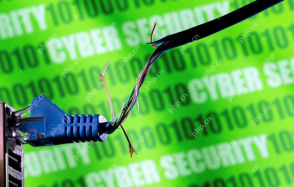 三部门联合印发《2025年深入推进IPv6规模部署和应用工作要点》