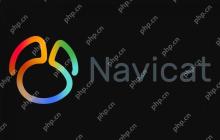 Navicat中查看数据库和表的详细信息和统计数据
