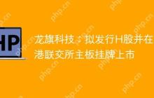 龙旗科技：拟发行H股并在香港联交所主板挂牌上市