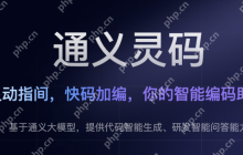 通义灵码插件离线版怎么用啊