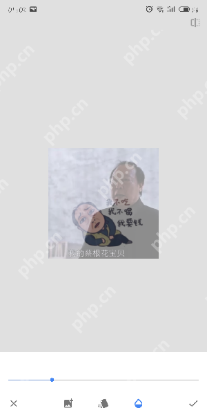snapseed软件如何拼接图片_snapseed拼接图片步骤解析