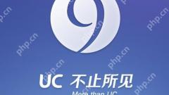 Video penyemak imbas Android UC disimpan secara tempatan