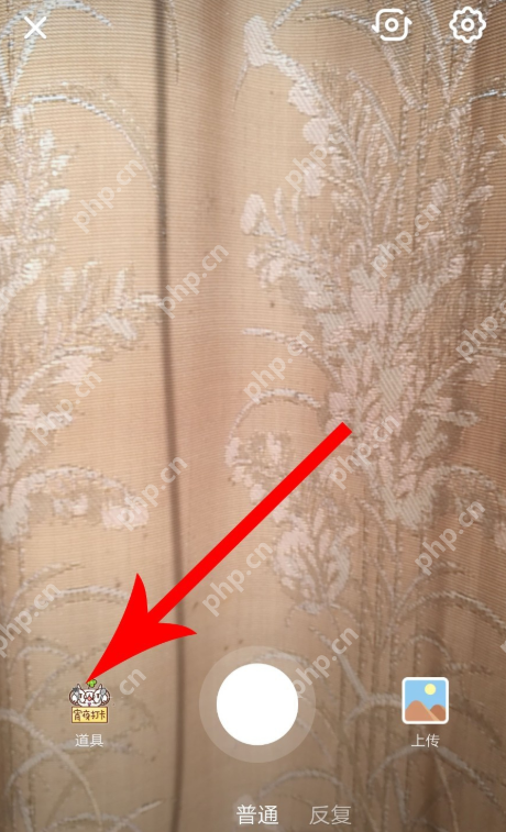 抖音APP怎么使用随拍功能？使用随拍功能介绍