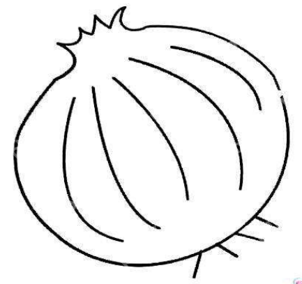 qq画图红包洋葱怎么画？QQ画图红包所有图案画法汇总