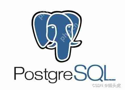 使用 Docker 在 Windows、Mac 和 Linux 系统轻松部署 PostgreSQL 数据库-小浪学习网