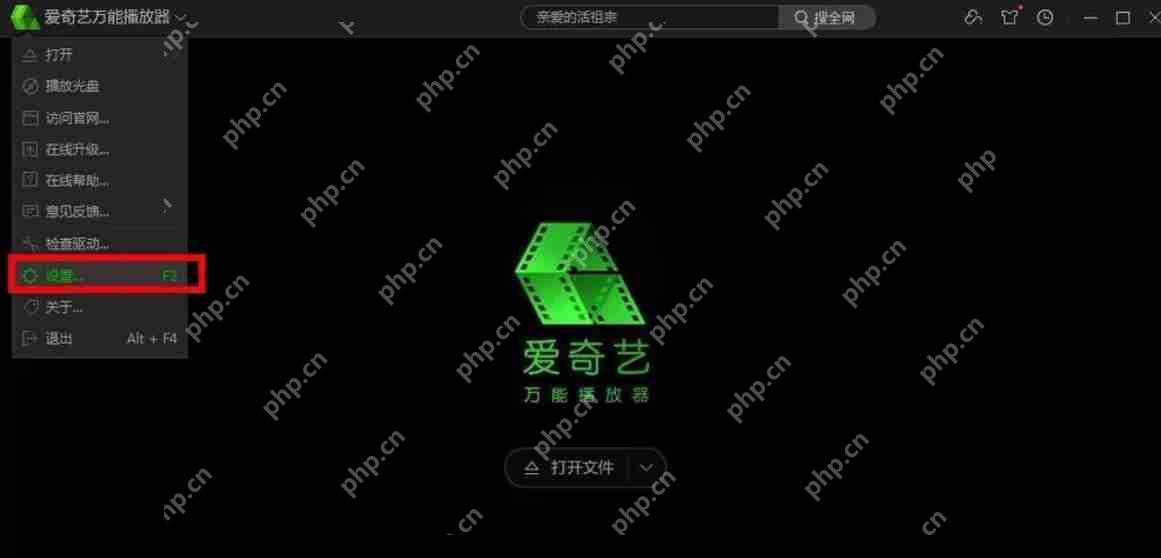 爱奇艺万能播放器怎么更改列表展现选项？-爱奇艺万能播放器更改列表展现选项的方法