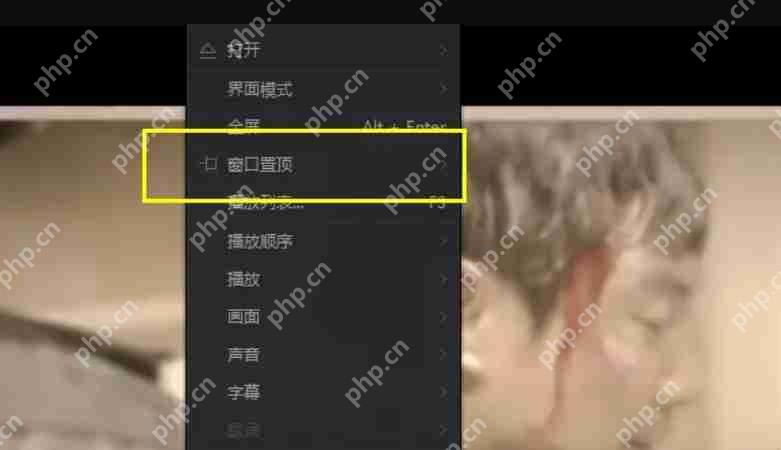 爱奇艺万能播放器怎么置顶？-爱奇艺万能播放器置顶的方法