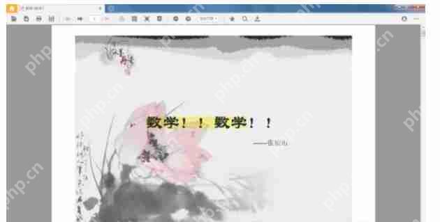 稻壳阅读器怎么幻灯片播放-稻壳阅读器幻灯片播放的方法