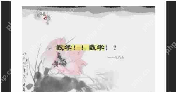 稻壳阅读器怎么幻灯片播放-稻壳阅读器幻灯片播放的方法