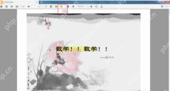 稻壳阅读器怎么幻灯片播放-稻壳阅读器幻灯片播放的方法