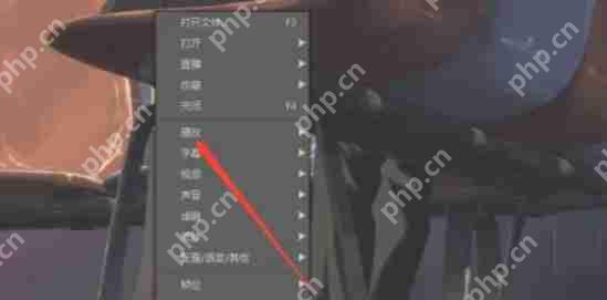 potplayer怎么添加书签-potplayer添加书签的方法