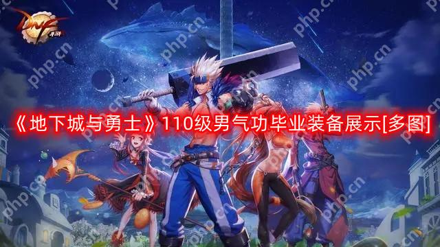 DNF男气功110版本装备是什么-地下城与勇士110级男气功毕业装备展示[多图]