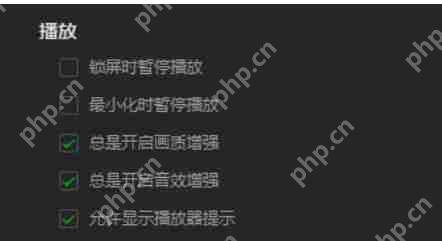 爱奇艺万能播放器怎么允许显示播放器提示？-爱奇艺万能播放器允许显示播放器提示的方法