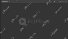 potplayer怎么设置最前端-potplayer设置最前端的方法