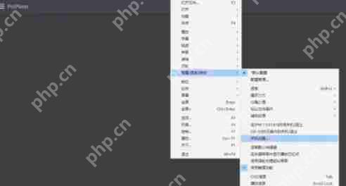 PotPlayer怎么设置定时关机-PotPlayer设置定时关机的方法