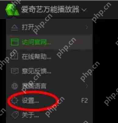爱奇艺万能播放器怎么开启多个播放器？-爱奇艺万能播放器开启多个播放器的方法