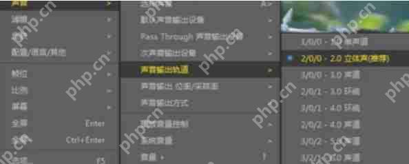 PotPlayer怎么调整音轨-PotPlayer调整音轨的方法