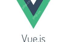 如何在Vue.js中保护用户隐私数据