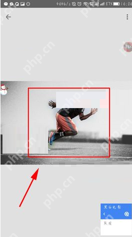 指划修图APP怎么为图片局部上色？为图片局部上色的方法说明