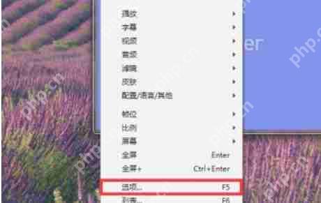 potplayer怎么关联视频文件-potplayer关联视频文件的方法