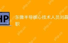 东微半导核心技术人员刘磊离职