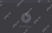 potplayer怎么设置播放时间-potplayer设置播放时间的方法