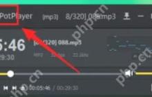potplayer怎么在托盘显示图标-potplayer在托盘显示图标的方法