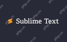 配置SublimeText自动保存功能的参数