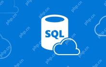 SQL中如何查看表的详细元数据信息