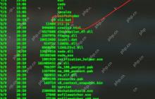 浙江某男子对多端应用开发工具HBuilderX在windows下安装的解说