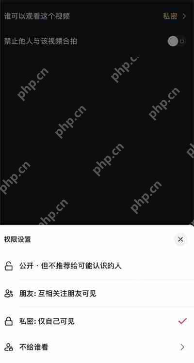 抖音怎么设置私密视频 - php中文网