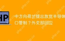 中方向荷兰提出放宽半导体出口管制？外交部回应